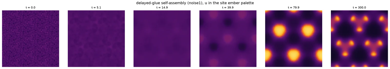 Six square stills in a row, labelled from t = 0 to t = 300. The first is fine-grained noise, the next two are almost featureless, and the last three show blobs sharpening into the finished spiral lattice.