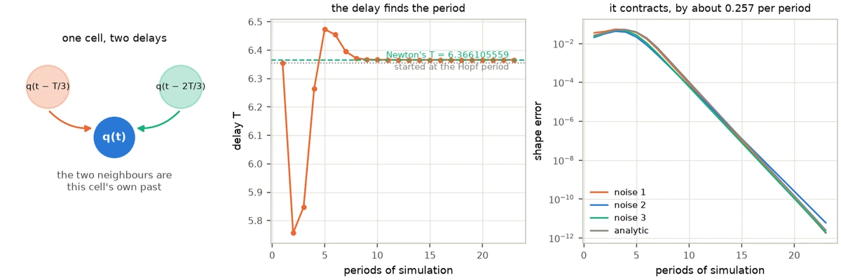 Three panels. Left: a diagram of one filled disc labelled q of t with two faint discs above it labelled q of t minus T over 3 and q of t minus 2T over 3, each with an arrow pointing into the filled one. Middle: the delay against periods of simulation, starting at the Hopf period, swinging low and high, and settling on a dashed line. Right: the shape error against periods for four seeds on a logarithmic axis, all four falling as parallel straight lines.
