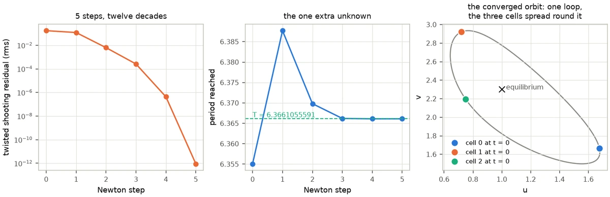 Three panels. Left: the twisted shooting residual against Newton step on a logarithmic axis, falling from about 0.17 to about 1e-12 in five steps. Middle: the period against Newton step, overshooting once and settling on a dashed line. Right: one closed loop in the u-v plane with three coloured dots on it and a cross marking the equilibrium.