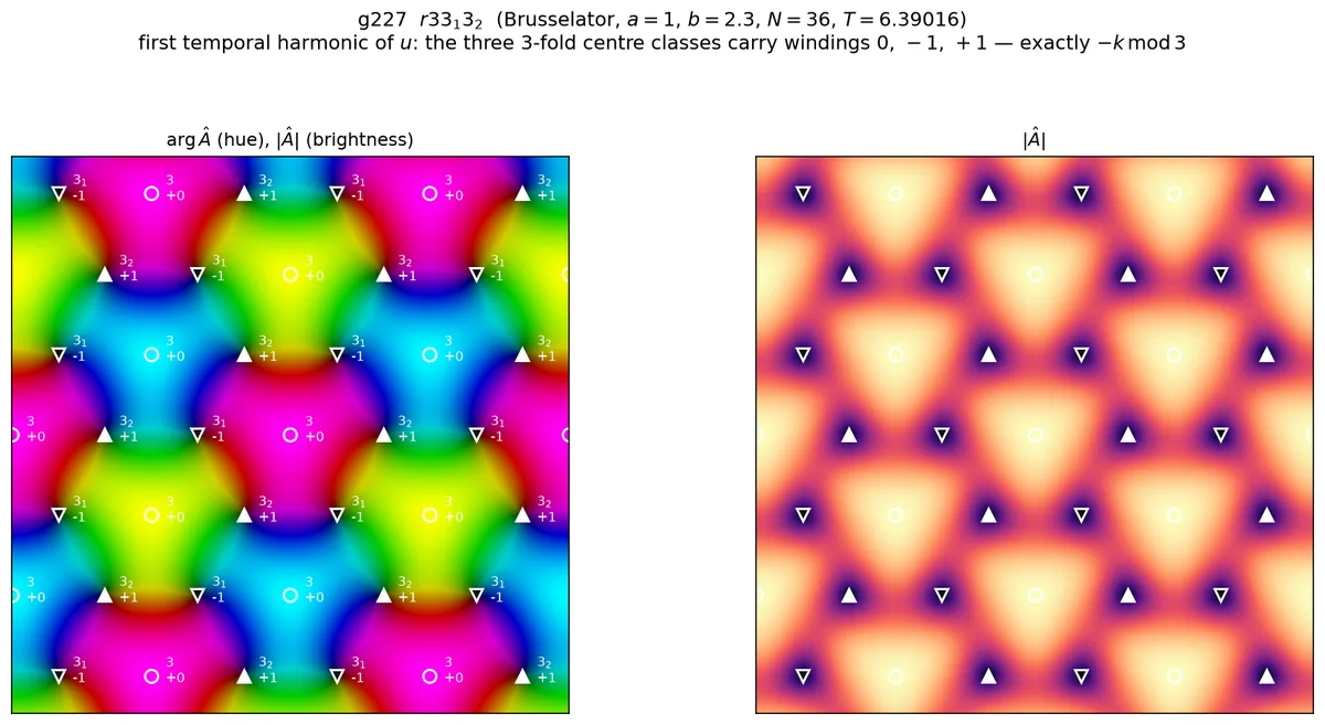 Two panels over several lattice cells. The left shows the phase of the first temporal harmonic as hue with the nine threefold centres marked by circles and up and down triangles, each labelled with a winding of 0, −1 or +1. The right shows the magnitude, dark at the marked screw centres.