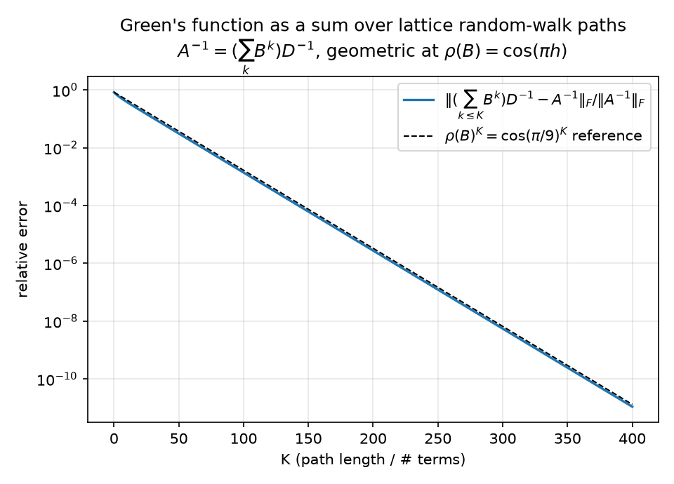 Neumann convergence at the random-walk rate