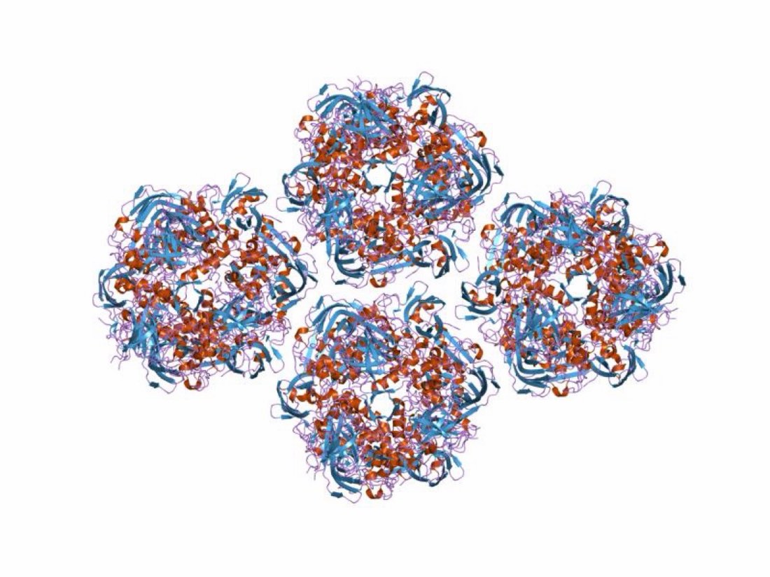 Structure of an adenovirus capsid protein assembly